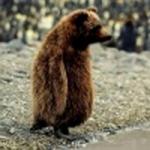 damlet фотография