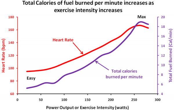 Exercise-Metabolism-Calories-v-Exercise-Intensity.png