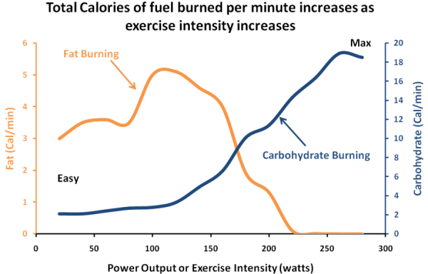 Exercise-Metabolism-Fat-v-Carbohydrate.png