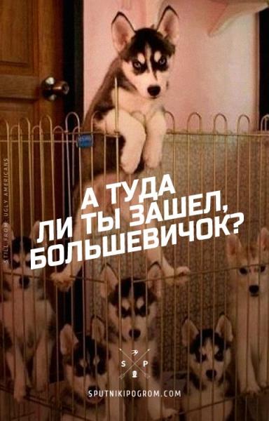 Болшевичок_оглы.jpg